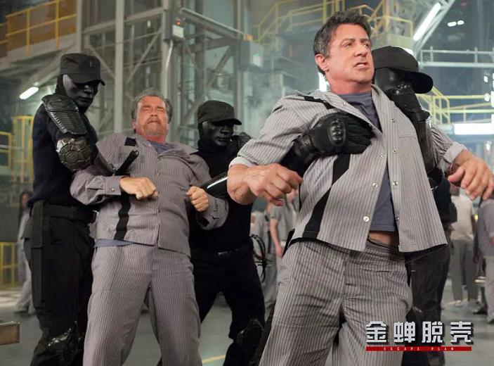 欧美明星|十大暴力美学电影，隔着屏幕都觉得疼