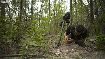 海龟@人类到底有多作孽? 一组图看清人类多么残忍