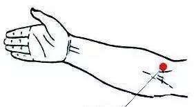 最齐全的穴位调理百病-尺泽穴位置图