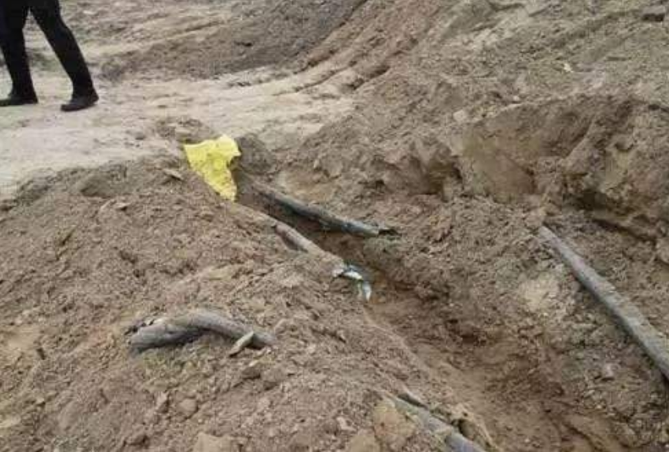 挖断国防光缆后果有多严重? 除了判刑之外, 赔偿费都是按秒计算