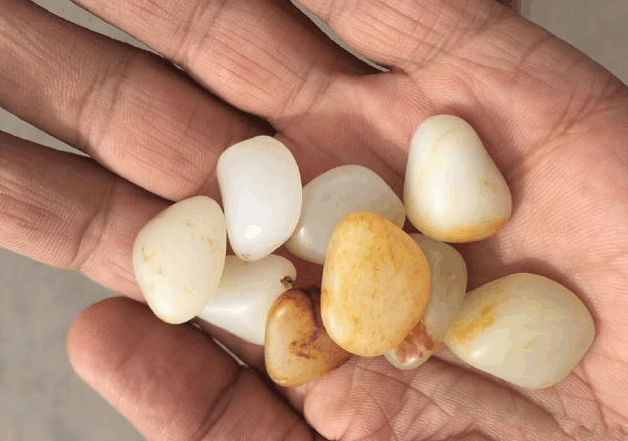 籽料——风大了, 母猪都能飞上天