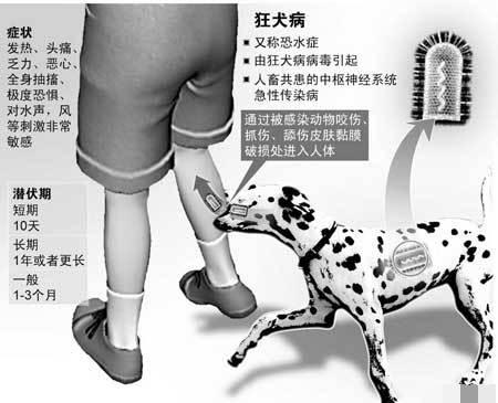 如果不幸得了狂犬症, 后果会怎样?