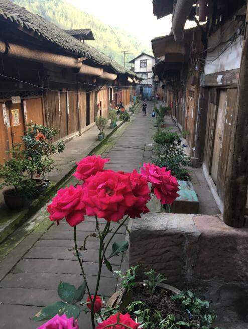 在这里寻找逝去的味道——大同古镇 在这里寻找逝去的味道——大同古镇