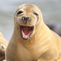 八年婚姻无法沟通,丈夫的处处防备让妻子彻底