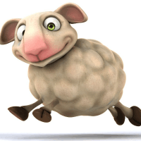 羊爸羊妈和羊的自频道-优酷视频