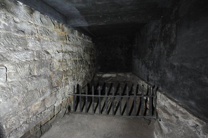 楊虎城之孫口述: 為什么蔣介石殺楊虎城不殺張學良?