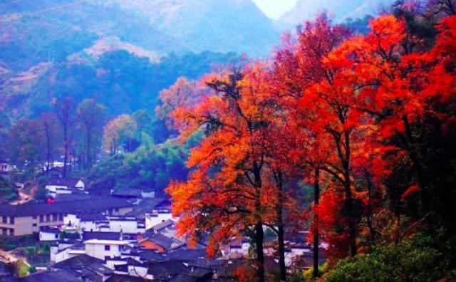 全国最拼的5个省份