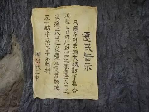 山東人是如何從大槐樹遷來的?