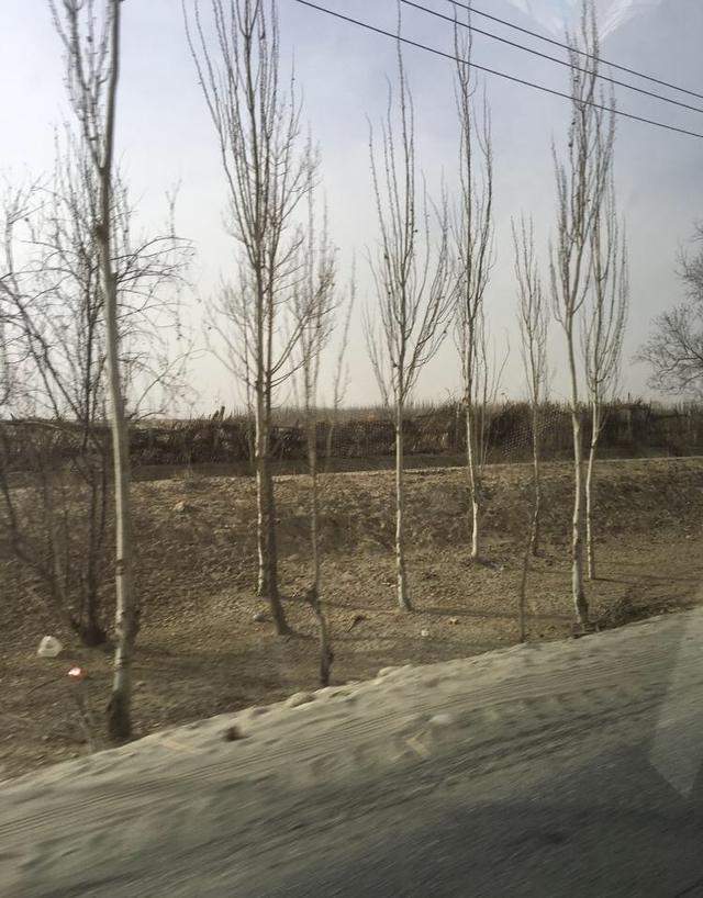 最新消息!!和田玉身价暴涨 商家忧心市场面临崩盘