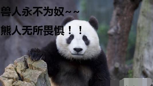 熊猫在抗日时期是什么处境