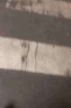 搞笑Gif: 妹子, 你这膝盖上的血, 我感觉有什么故事啊