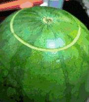 搞笑Gif: 同学, 你这智商晕死一大片啊这么简单的都不会算?