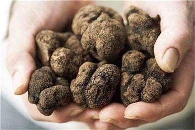 欧洲这5种食材是奢侈品, 有一种在中国, 农民不敢吃来喂猪