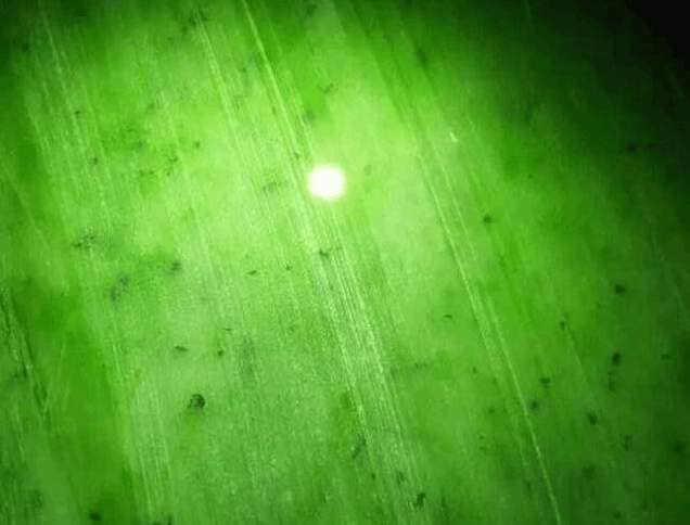 顶部竖裂, 侧面横切裂, 背面网状裂, 这块和田白玉独籽还有救吗?