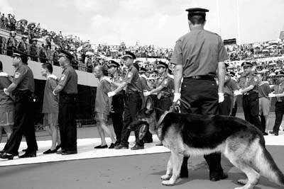 本是黑帮2号人物靠暗杀老大上位, 最终也难逃死刑