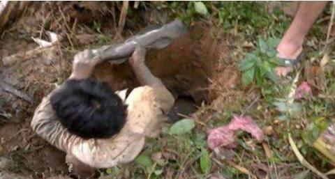 农村小伙石头底下挖出罕见美味, 看看你家石头底下有没有