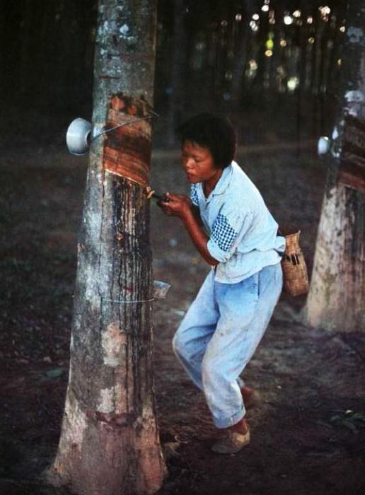 70年代的中國老照片, 熟悉而又陌生的生活, 值得回憶