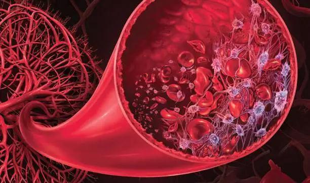 魚身上的這個部位很毒, 再香也別吃, 專家: 好多癌癥都因它而起