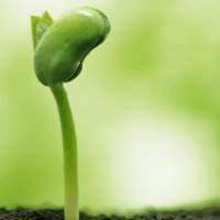 2019伦敦春夏时装周Allegra泳装秀, 超模太乐观