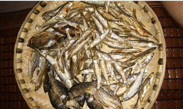 居住深山的钓友不了解行情, 几十一斤的鱼晒干后喂猫