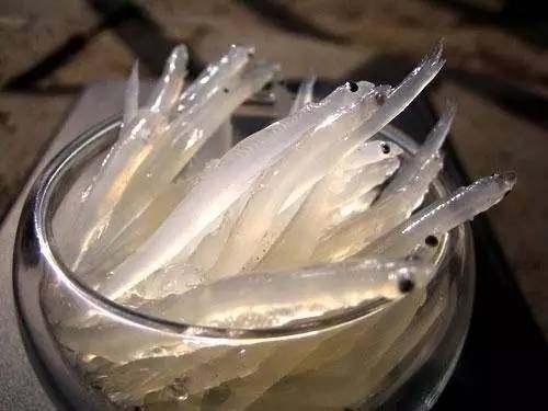 中国四大名鱼, 在古代可是皇帝的贡品, 看看你吃过吗?