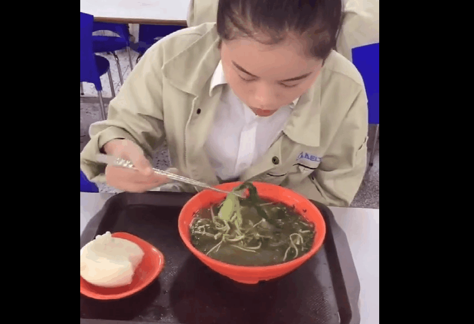 90后厂妹每天工作14个小时, 伙食这么差, 网友: 这是人吃的吗