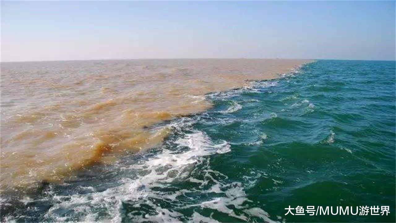 淡水鱼在海水中不能存活,那黄河流入大海后,河中的鱼去了哪里?