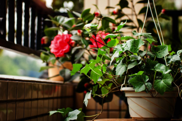 家中“这个东西”的危害你一定要知道，长时间接触会对你不利！