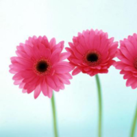 泰国女人为什么不喜欢接待中国男人?没想到当