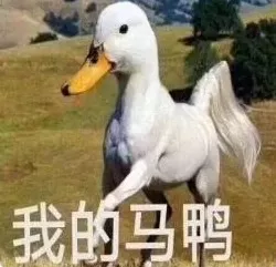 待你如亲妈的海底捞服务员绝对有毒！哈哈哈哈哈哈哈！！