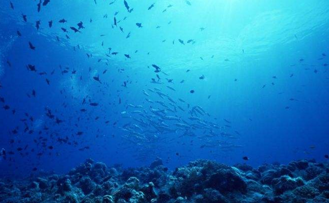 海水为何不能当水喝?不仅是因为咸,煮干后你就知道有多恐怖了