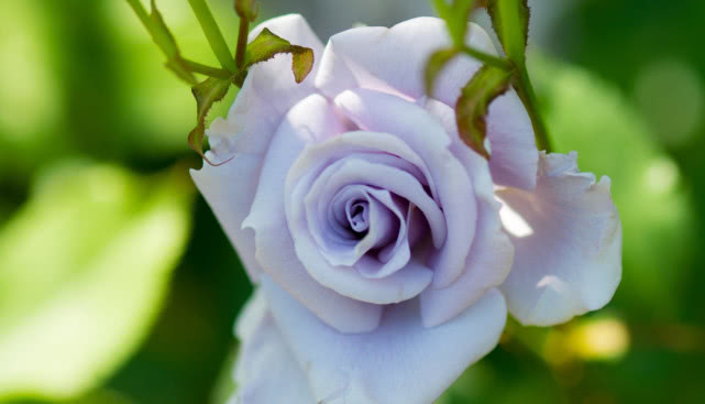 生肖▲相处时间久了，就不会百依百顺的3个星座男