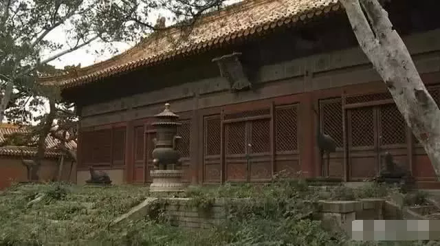 故宫|故宫仍有4成区域不开放，门缝后的景象，破败的让人心惊