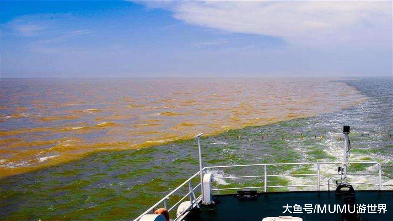 淡水鱼在海水中不能存活,那黄河流入大海后,河中的鱼去了哪里?