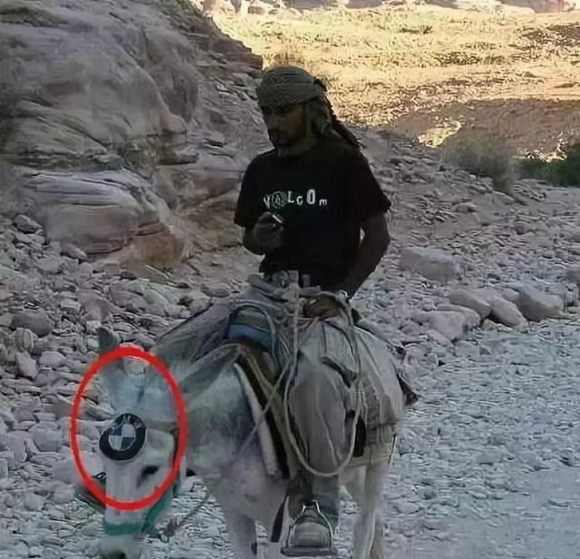 发几张不正经的照片给你看看, 专治不开心~