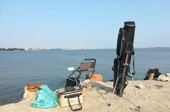 长江出现鲨鱼? 长江中下游, 多地有人钓起白色“小鲨鱼”