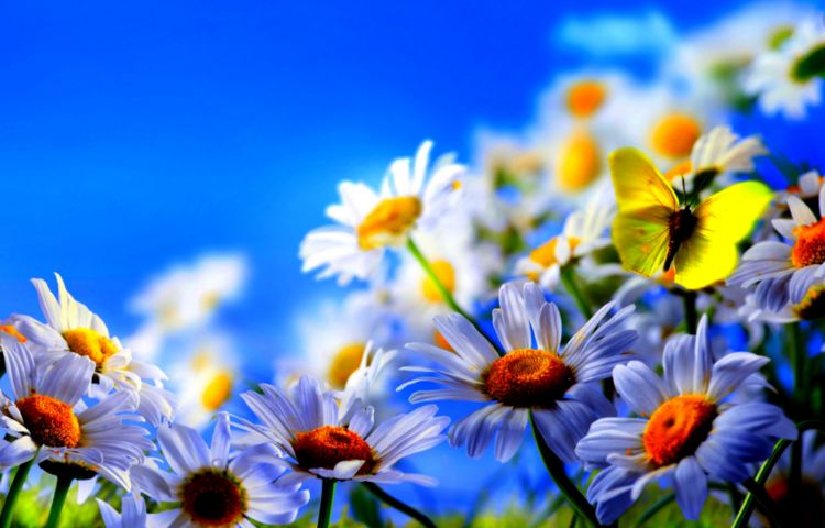 生肖■5月开始，大喜临门，大财连连，金银四方来的三生肖