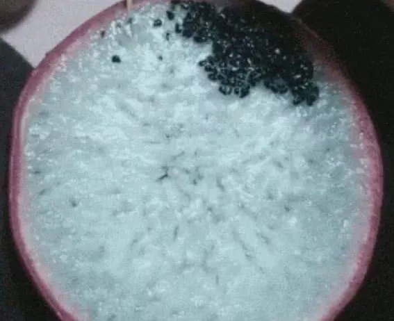 待你如亲妈的海底捞服务员绝对有毒！哈哈哈哈哈哈哈！！