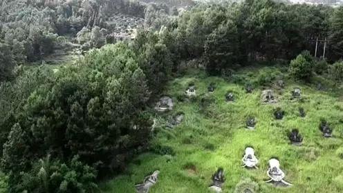 恐怖果园!【真人真事】