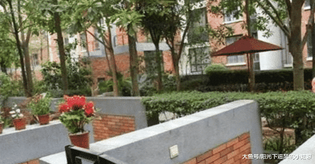 为何有钱人从不买带“院子”的房子？听内行人说完，庆幸知道及时