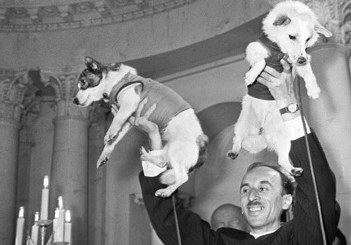 「太空」50年前被送上太空的狗和猴子，如今怎么样了？说了你可能不相信