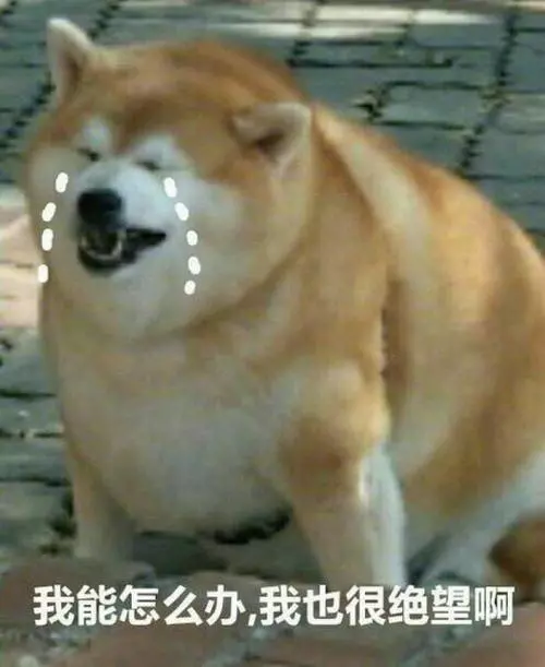 待你如亲妈的海底捞服务员绝对有毒！哈哈哈哈哈哈哈！！