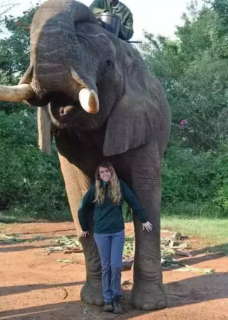 奇异世界: 十大巨型动物, 大到超出你的想象!