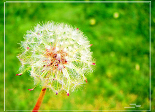 生肖@5大生肖最近5天有“巨额横财”到，握住机会，下半辈子富可敌国