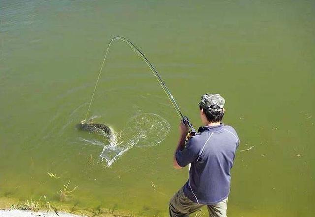 秋钓找不到鱼窝？只要2滴，整个水库的鱼聚过来，3小时狂钓50斤鱼！