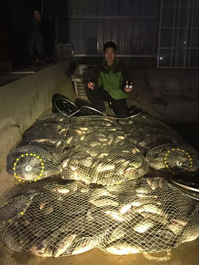 秋钓找不到鱼窝？只要2滴，整个水库的鱼聚过来，3小时狂钓50斤鱼！