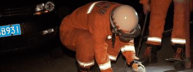 大金毛散步时突然停在下水道前……竟然避免了一起命案！