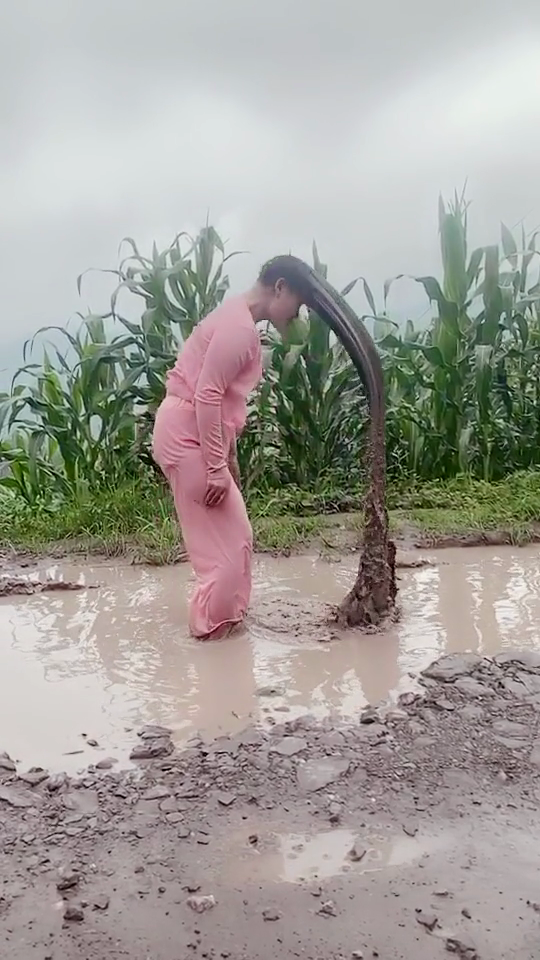 辣妈你是在泥水里洗头吗？可千万不要放弃治疗啊！