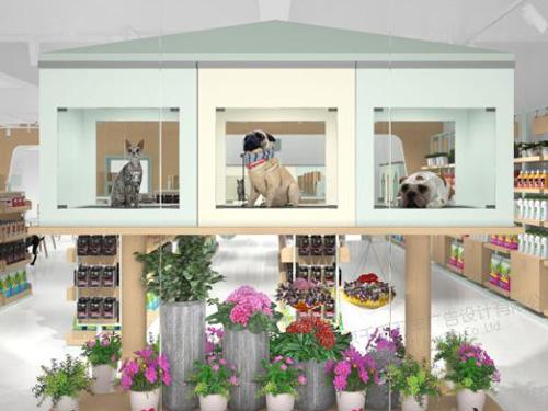 开宠物店需要哪些条件