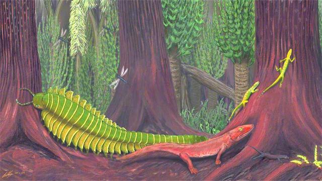 4亿年前它是地球上的“王者”，想吃谁吃谁，如今一脚就能踩死？